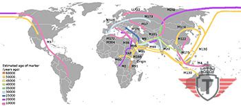 Image result for Human Migration Explained