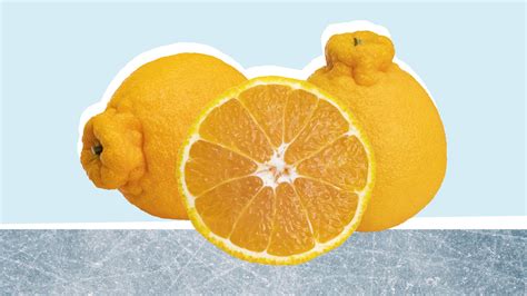 Sumo Orange Calories and Nutrition