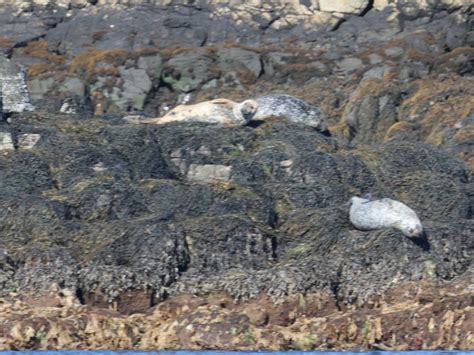 TOBERMORY BAY TOURS (2026) All You Need to Know BEFORE You Go (with ...