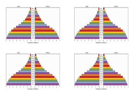Image result for Population Pyramid Tutorial