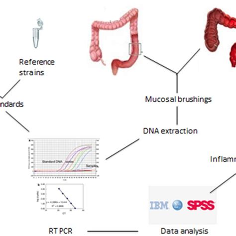 Image result for Sample Analysis