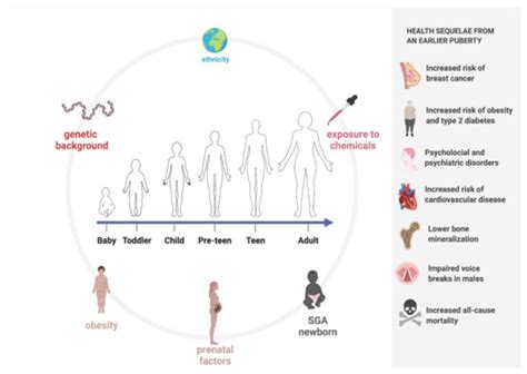 The Role of Pediatric Nutrition as a Modifiable Risk Factor for ...