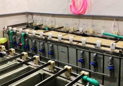 Nickel/Gold Plating Plant for PCB Industries | Perfect Point