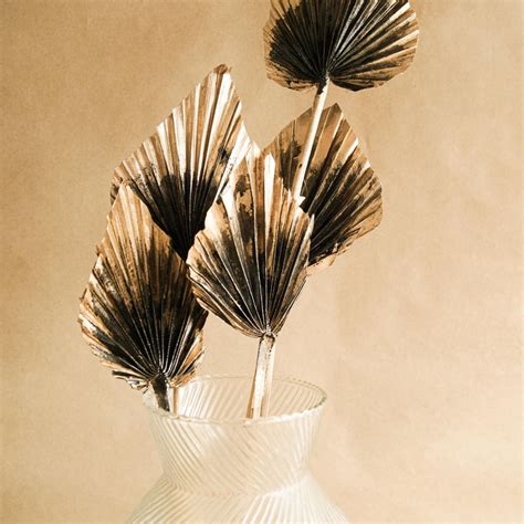 Golden Black Palm Leaves Dried Decor | Set of 5 Palm Spears – https ...