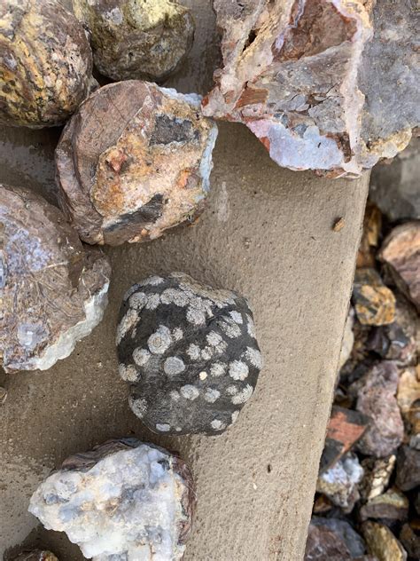 We went to Dugway geode beds Utah a few weeks ago for the first time ...