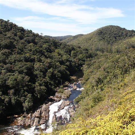 PARQUE ESTADUAL DA SERRA DO MAR - All You Need to Know BEFORE You Go ...