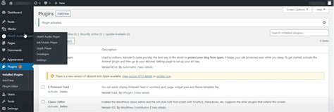 Image result for Customize HTML5 Audio Player WordPress