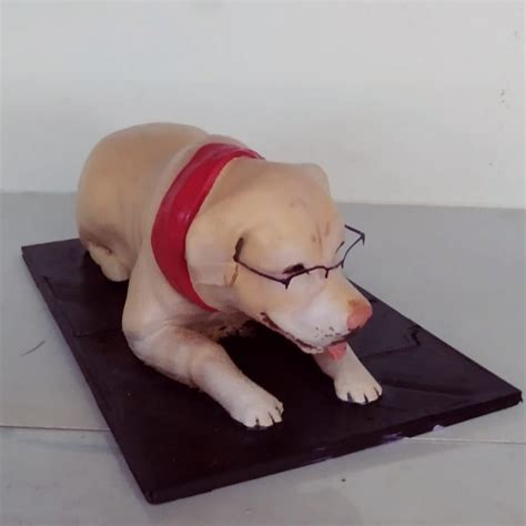 Pet Miniature – 3D Galaxy