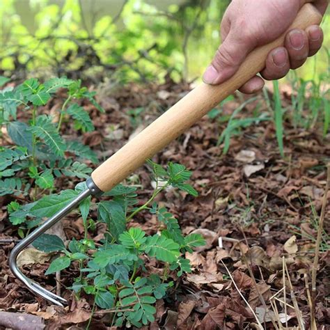 Concreate Weeding Tools 的图像结果