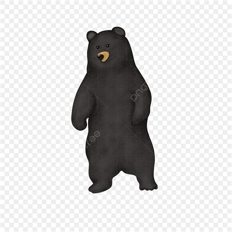 Standing Bear Hd Transparent, Black Bear Standing Upright, Black Bear ...