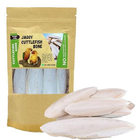 Buy Cuttlefish Bone for Birds Cuttle Bone Birds (1Kg) Online at Low ...