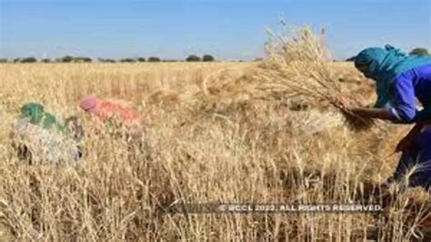 Govt protects farmers interest through wheat exports restriction: APEDA ...