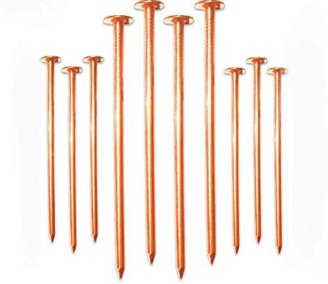 4" Copper Nail Kills Plants or Trees Stumps and Roots - Pack of 10 ...