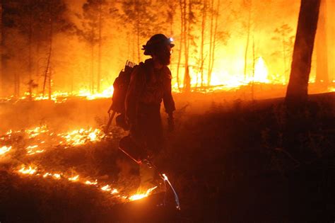 Image result for Forest Fire Project