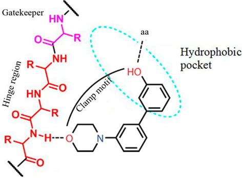 The Guareschi Pyridine Scaffold as a Valuable Platform for the ...