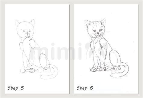 HowToBasic Cat 的图像结果