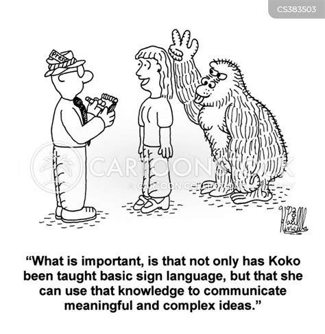 Image result for Monkeys Learning Sign Language