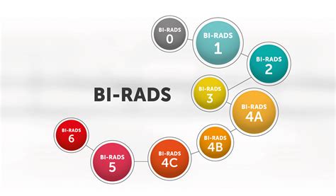 Image result for BI-RADS 0