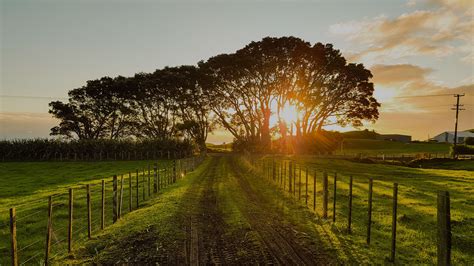 Pritts Funeral Home & Chapel | Kitzmiller & Westminster,