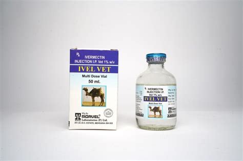 Image result for Introvet Injection