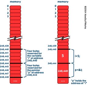 Pointer Computer Programming 的图像结果