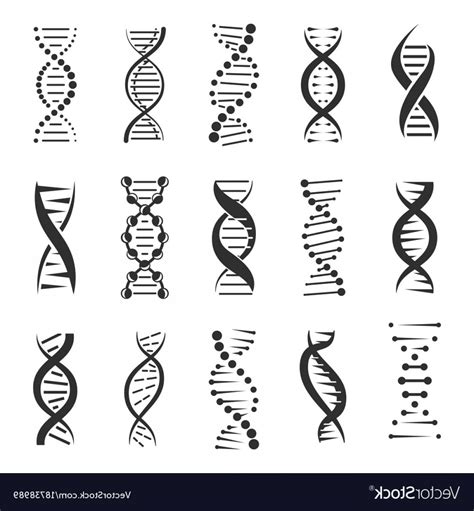 DNA Vector 的图像结果