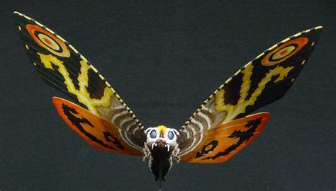 Image result for Mothra Web Browser