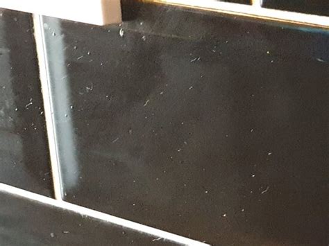 ALEXANDER APARTMENTS NORTH SHIELDS - Specialty Inn Reviews, Photos ...