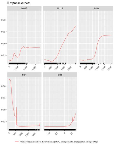 Analysis of the Distribution Pattern of Phenacoccus manihoti in China ...