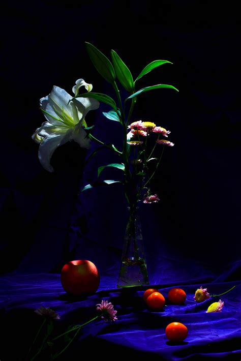 静物摄影 花卉拍摄|摄影|静物|小敬阳 - 原创作品 - 站酷 (ZCOOL)