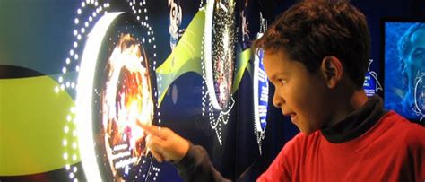 Exhibit Design 的图像结果