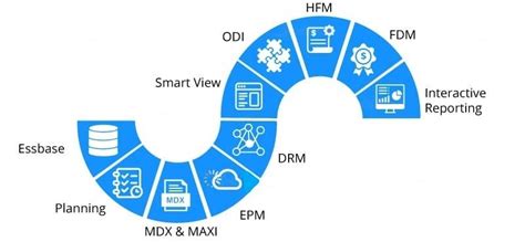 Image result for Hyperion Enterprise Tutorial