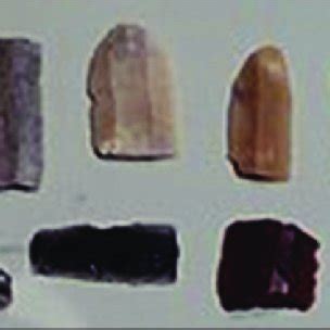 Examples of Technology 的图像结果