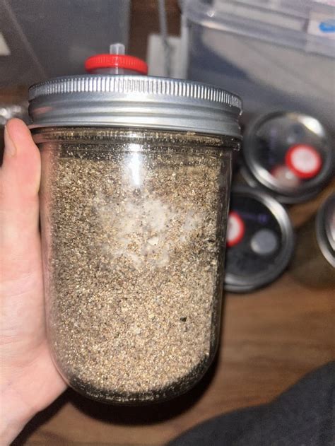 started about 6 weeks ago…. how do they look? : r/PFTek