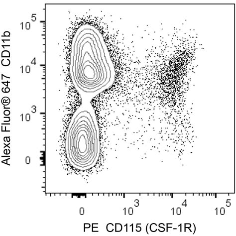 PE Rat Anti-Mouse CD115 (CSF-1R)