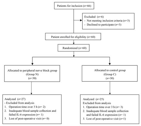 Combination Preemptive Peripheral Nerve Block in Limb Surgery. A ...