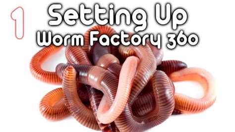 Worm Farm 360 的图像结果