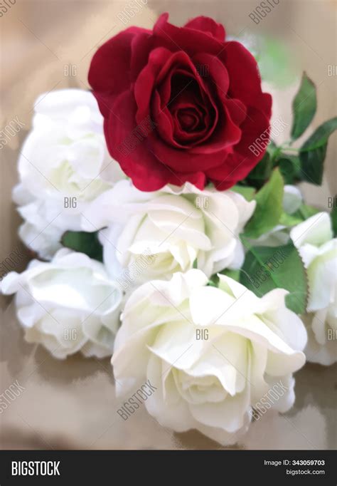 Red And White Rose Background