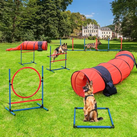 Amazon.com : Fun For Tails Premium Dog Agility Training Equipment ...