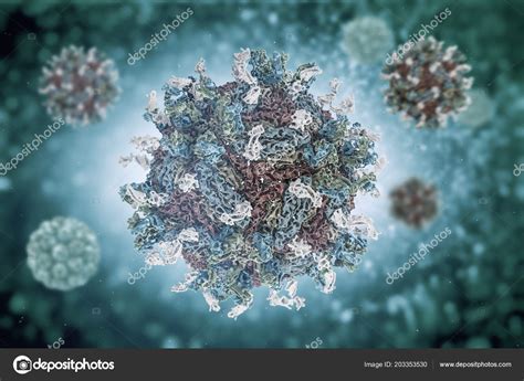 Dengue Virus Engue Fever Acute Viral Disease Transmissible Structure ...