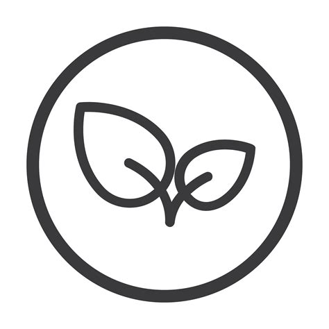 About Avam Essentials | Skincare Meets Beauty