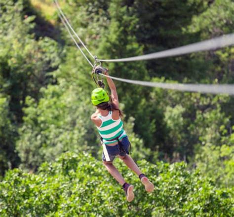 How Install a ZIP Line 的图像结果