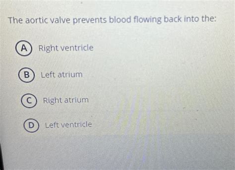 Solved The aortic valve prevents blood flowing back into | Chegg.com