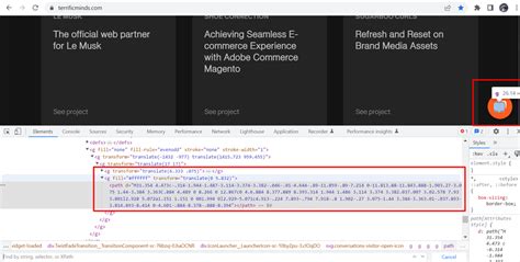Image result for Selenium SVG Java