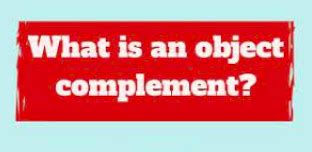 Image result for Objective Complement