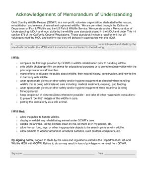 Memorandum Of Acknowledgement - Fill Online, Printable, Fillable, Blank ...