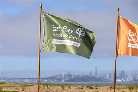 Two park district board seats are up for election. Here’s what you need ...