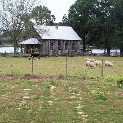 Georgia Museum of Agriculture and Historic Village (Tifton) - 2021 What ...