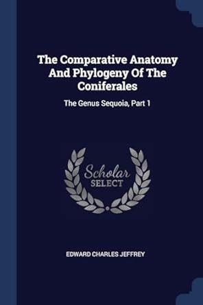 Buy The Comparative Anatomy And Phylogeny Of The Coniferales: The Genus ...