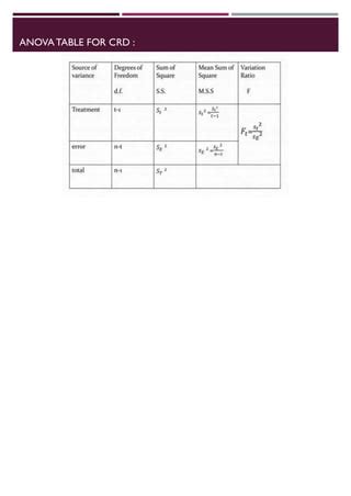 Randomized Block Design 的图像结果